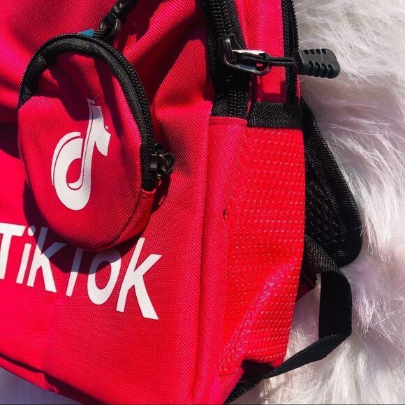 Brand New Trendy Kids Tik Tok School‎ Bagpack with coin purse (Pink)Small - Picture 6 of 8